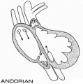 Andorian heart diagram.jpg