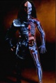 180px-Klingonische Anatomie.jpg